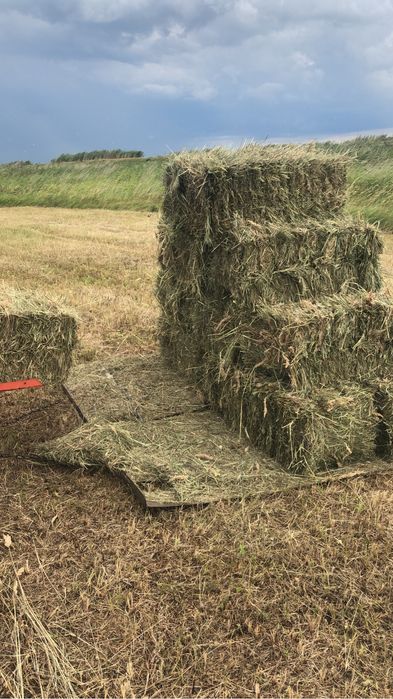 Продам пресс сипма