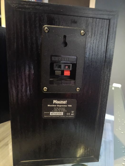 Magnat monitor supreme 100