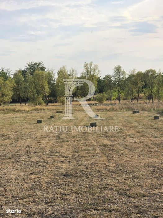 Teren intravilan 6.514mp | 39m front stradal | Ciocaia, Săcuieni