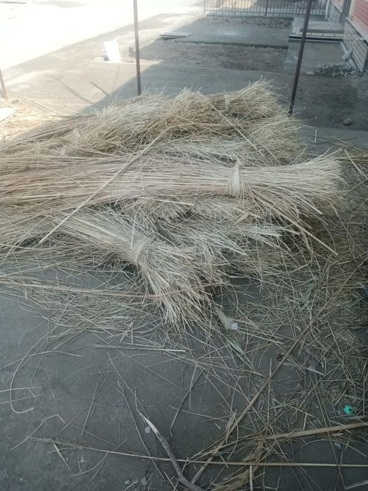 Xekan gʻishsha sotiladi