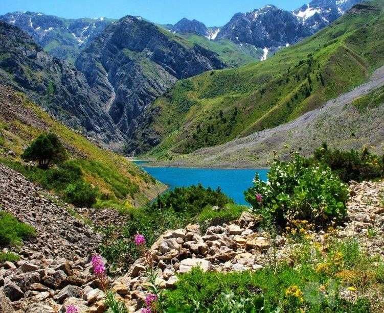 Поездки по Узбекистану | Самарканд, Амирсой, Чарвак, Бочка