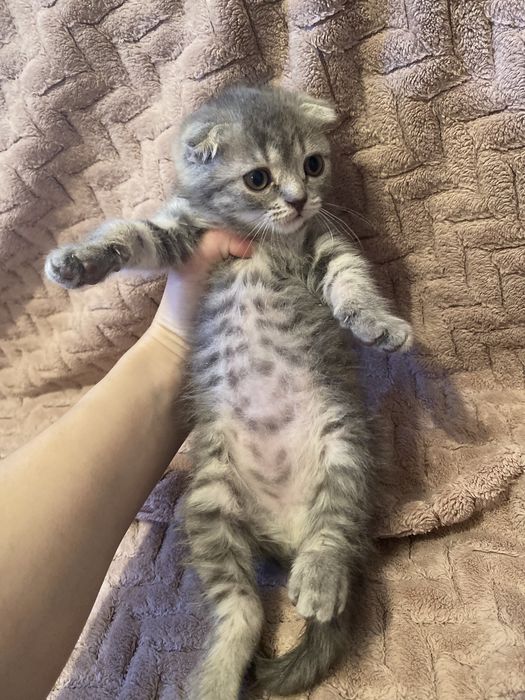 Обмен на планшет