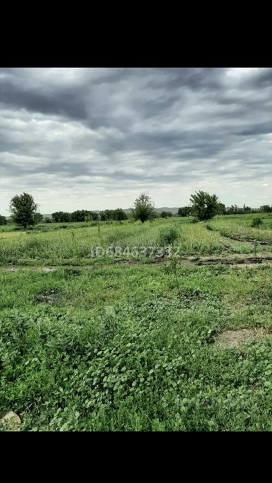 Продам дом 25 сот