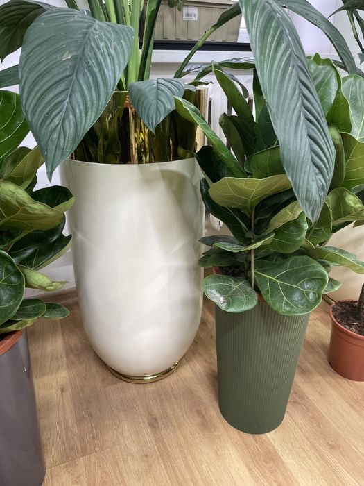 Горшки и кашпо