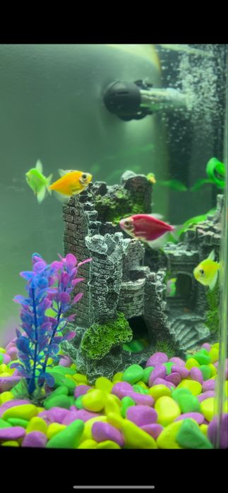 Аквариум 25 литров