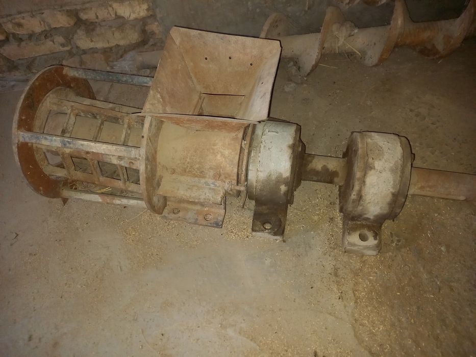 Шоли хорозни вали