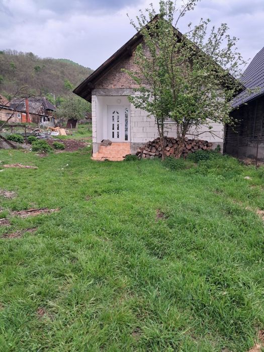 Vand casa Nanesti