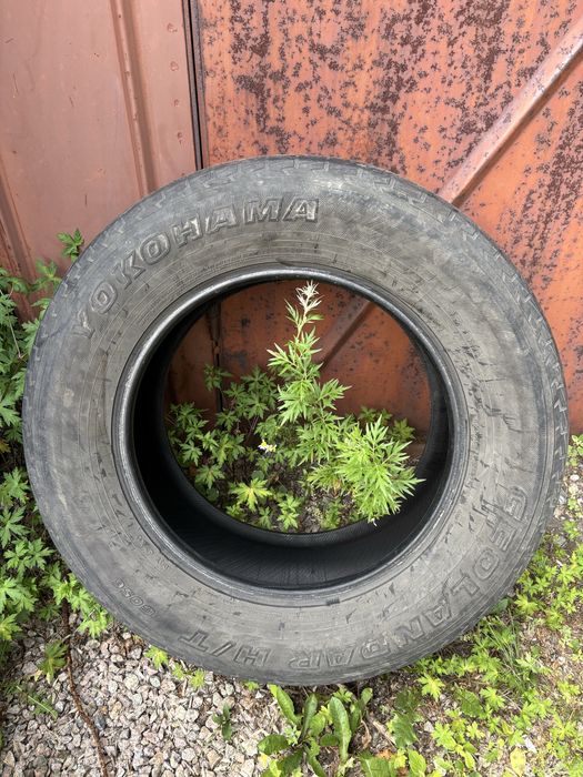Продам 285/60 R18 4 болона