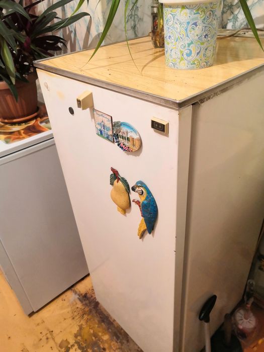 Срочно, срочно холодильник.