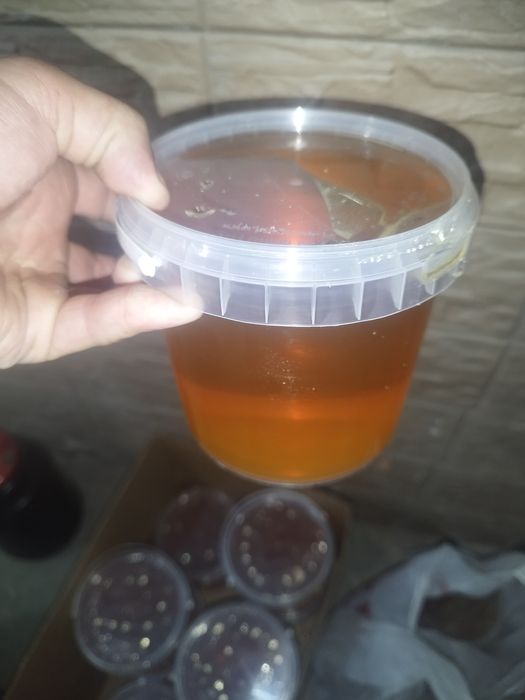 Мёд, прополис, соты, перга, пыльца