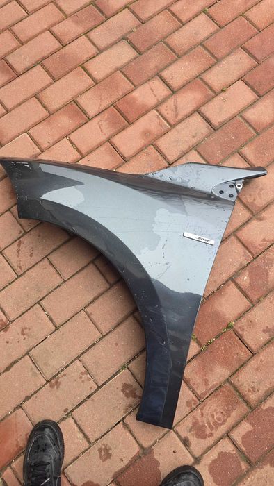 Aripa, Usa fata - spate stanga Renault Megane 3 TEB66