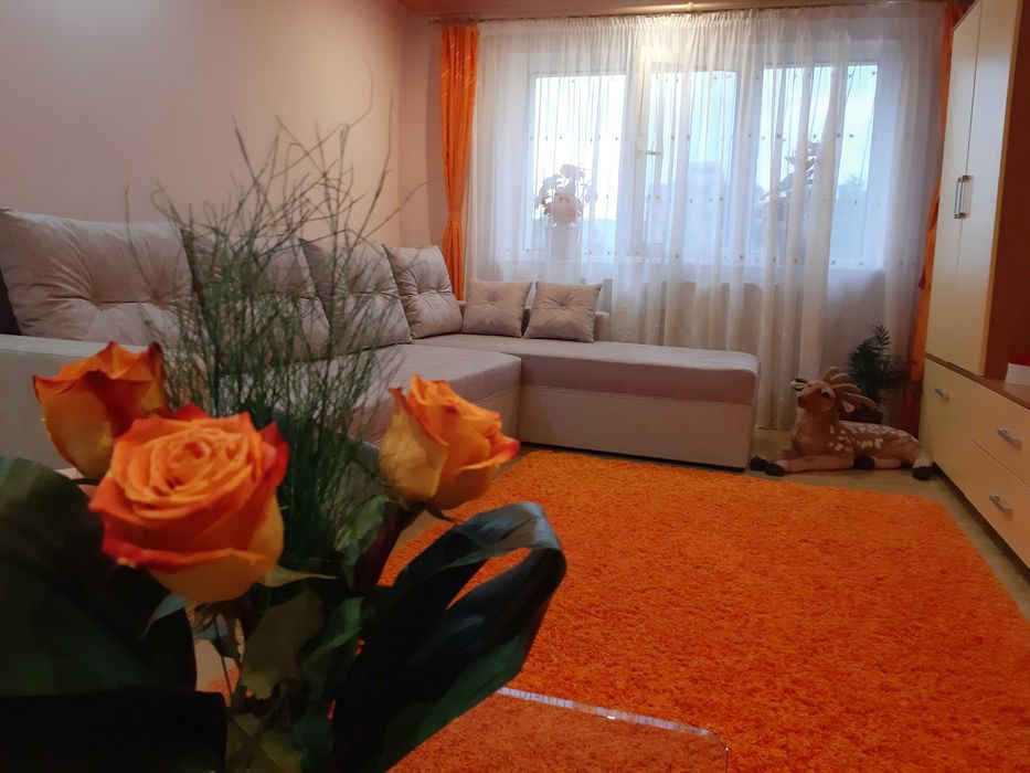 Apartament/ Regim hotelier