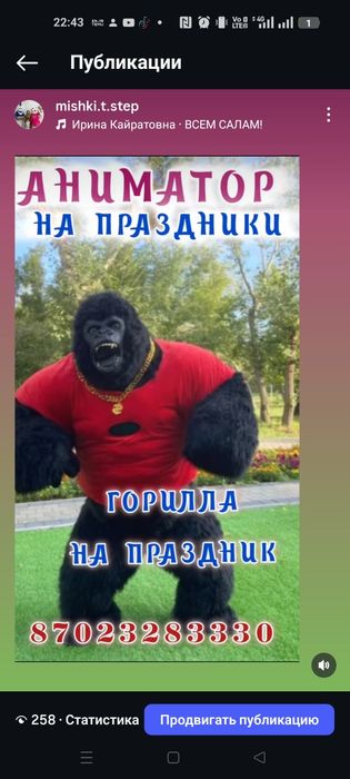 Аниматор, Мишки,