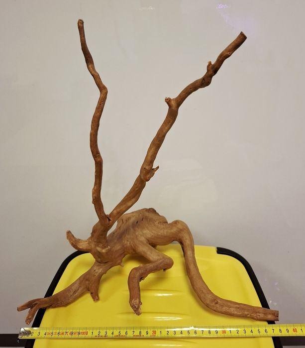 Vand red moor wood pentru acvariu