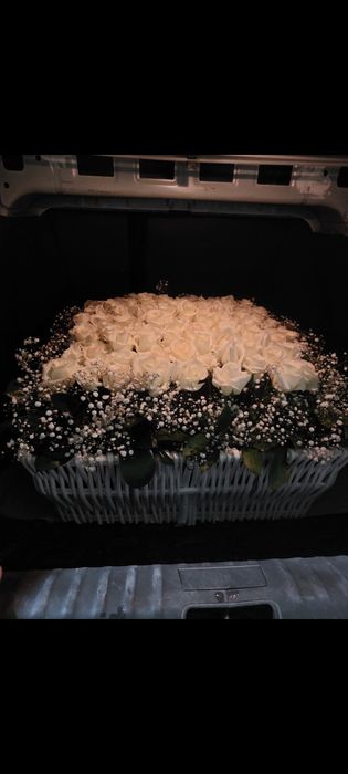 S 150 000.Shikarnie sveti jevoy priemlivie tseni . vozmojen dostavka