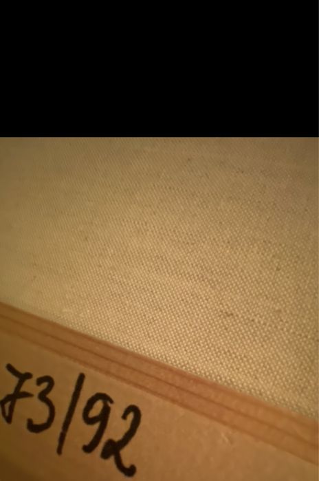 Картина полугола жена 72/93