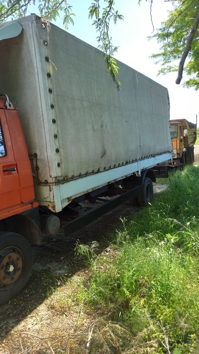 Ман 8.100 с лиценз за превоз на животни