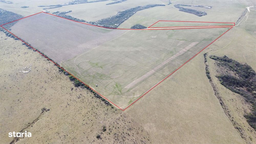 Teren 26.82 ha Ardud | Oportunitate pentru dezvoltare