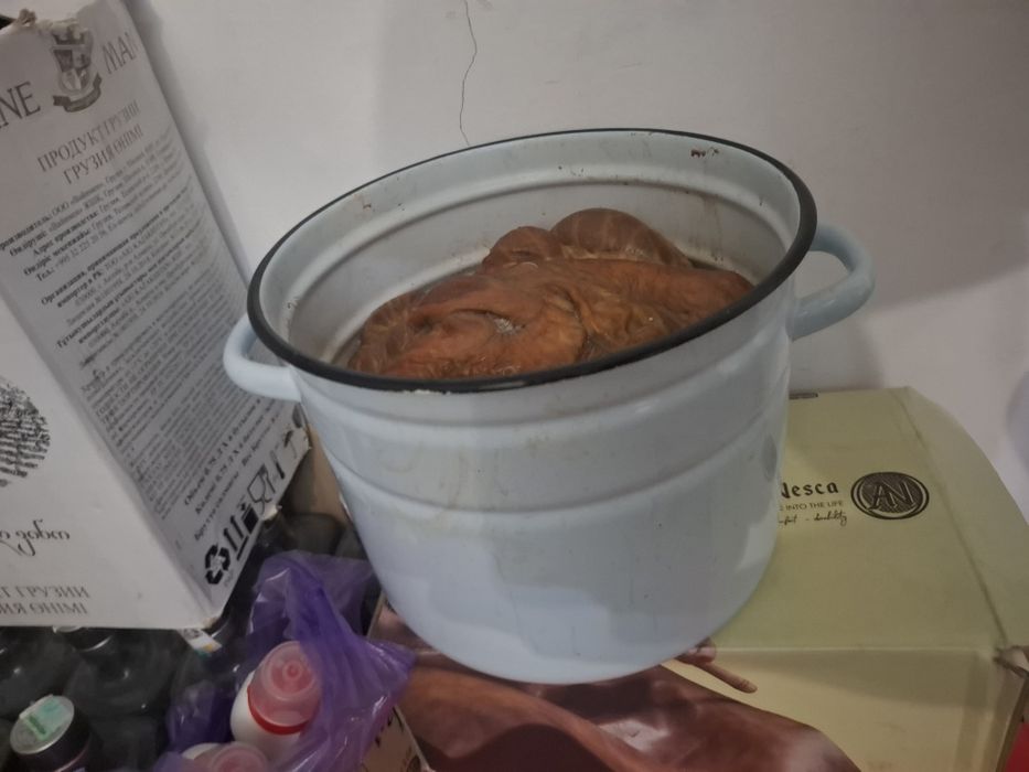 Желудок.  конины