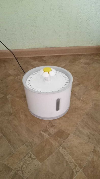 Зооняня для кошечек