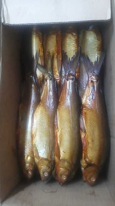 Копчёная рыба  пелядь боровое