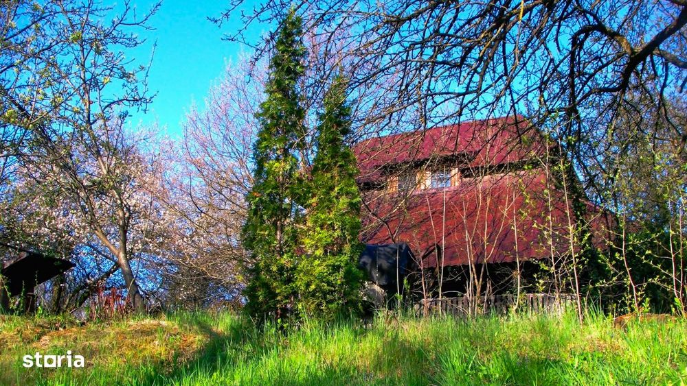 Domeniu exclusivist cu izvor propriu – Cheile Turzii / Munții Apuseni