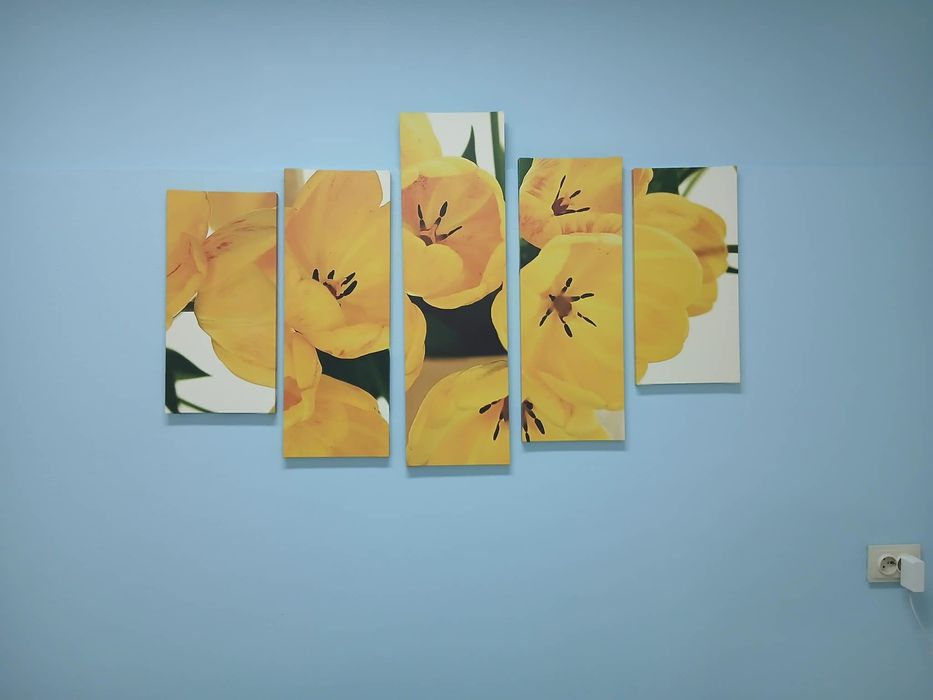 Картина: пана 5 броя