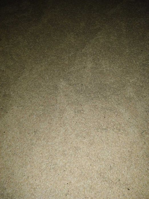 ovaz auriu .de samanta c1 si consum