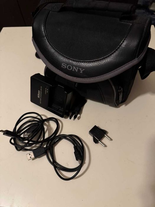 Фотоапарат Nikon D3100