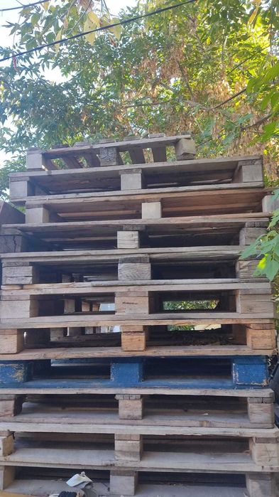 Продам поддоны срочно