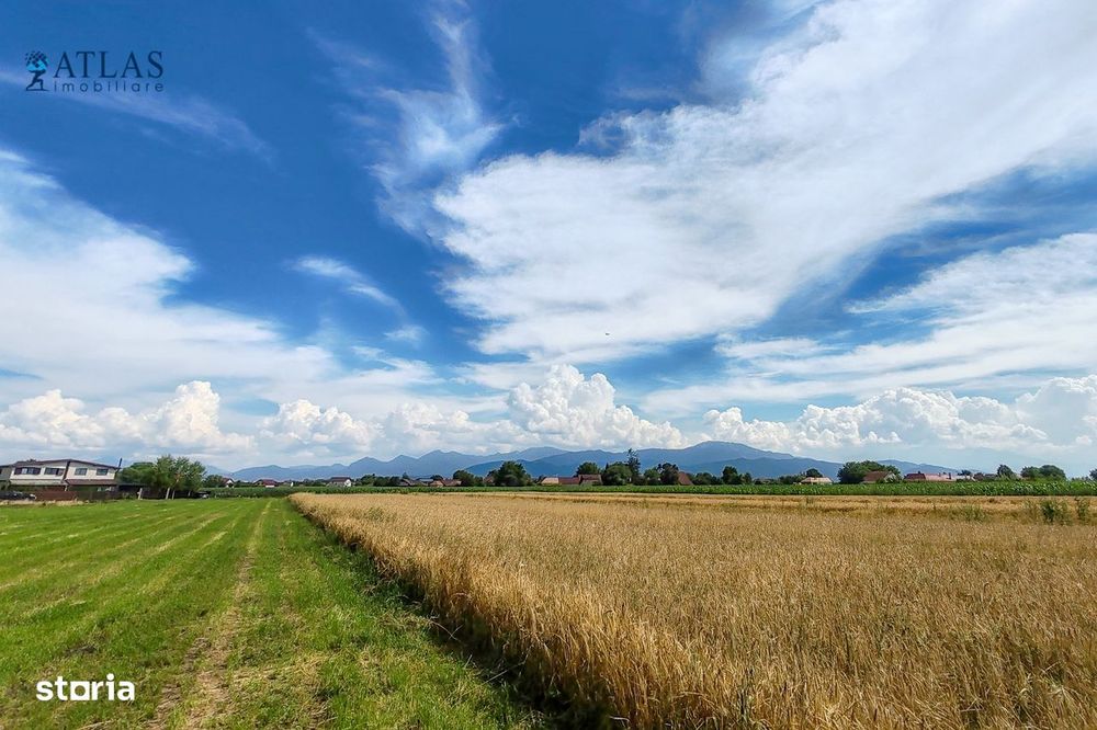 Loturi rezidențiale Cavalului, 500-700 mp, PUZ, utilități, Stupini