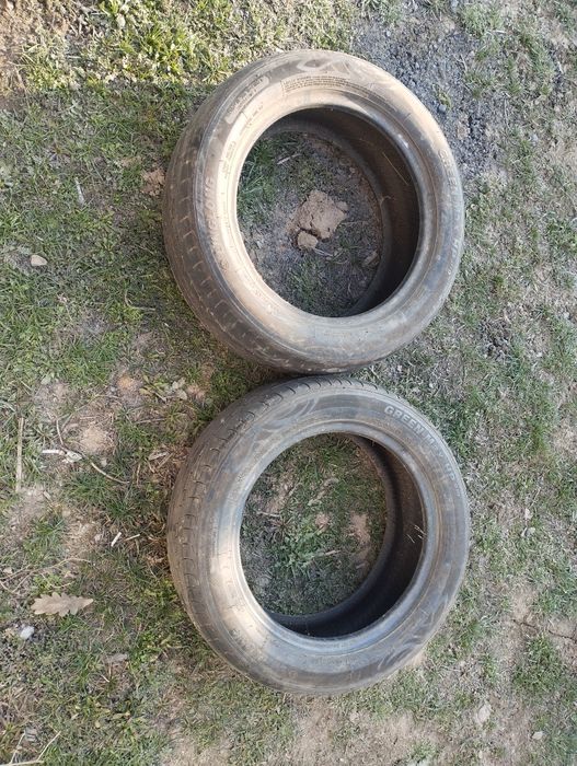 Шины Green-max 195.55-р15 пара