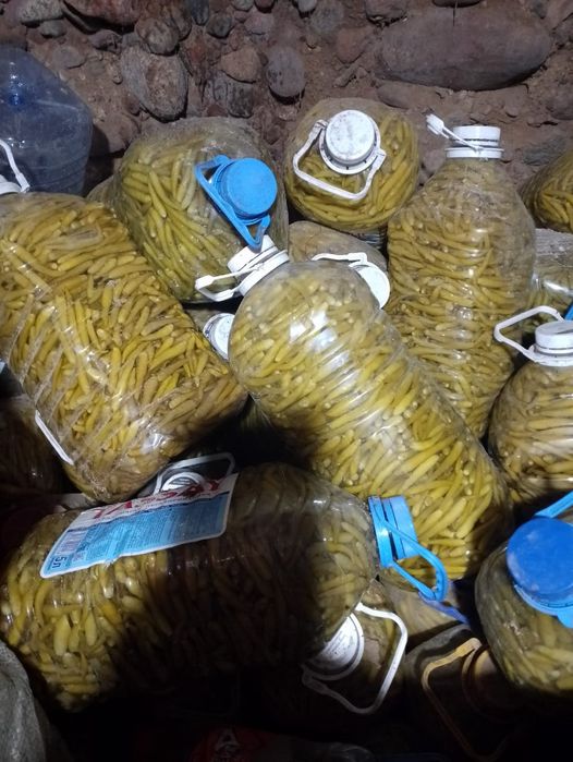 Разные виды моление