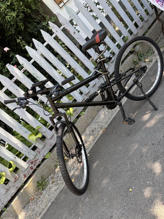 Bicicleta de oras