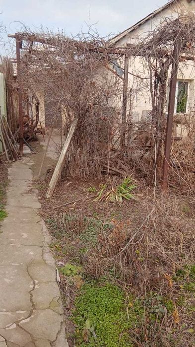 Продажа дома в Ташкентской области, Кибрайского района