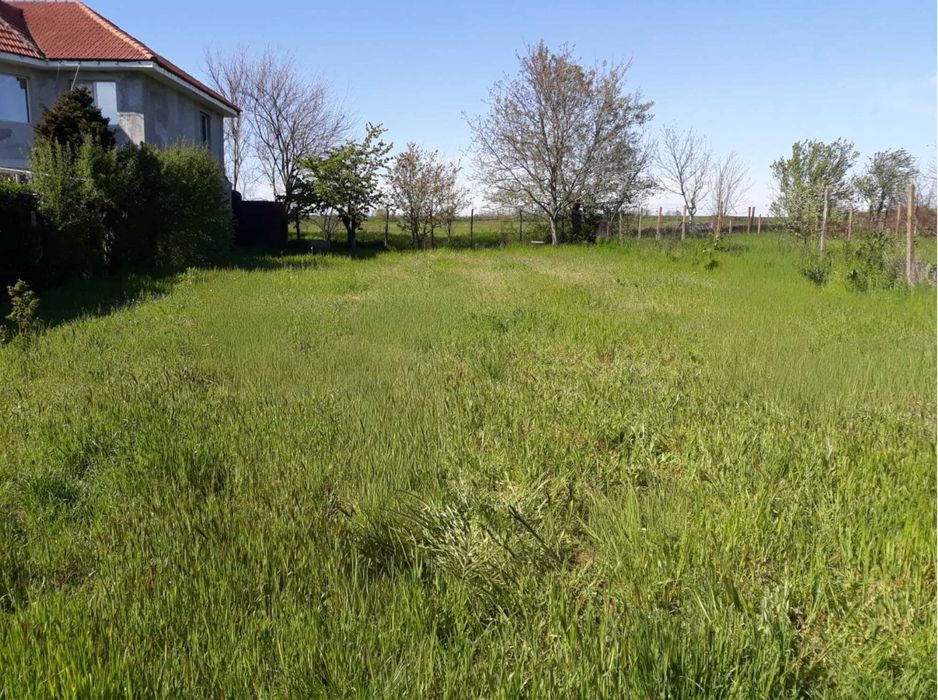 Casǎ cu teren de 1270 mp langǎ Penny Valu lui Traian (Proprietar)