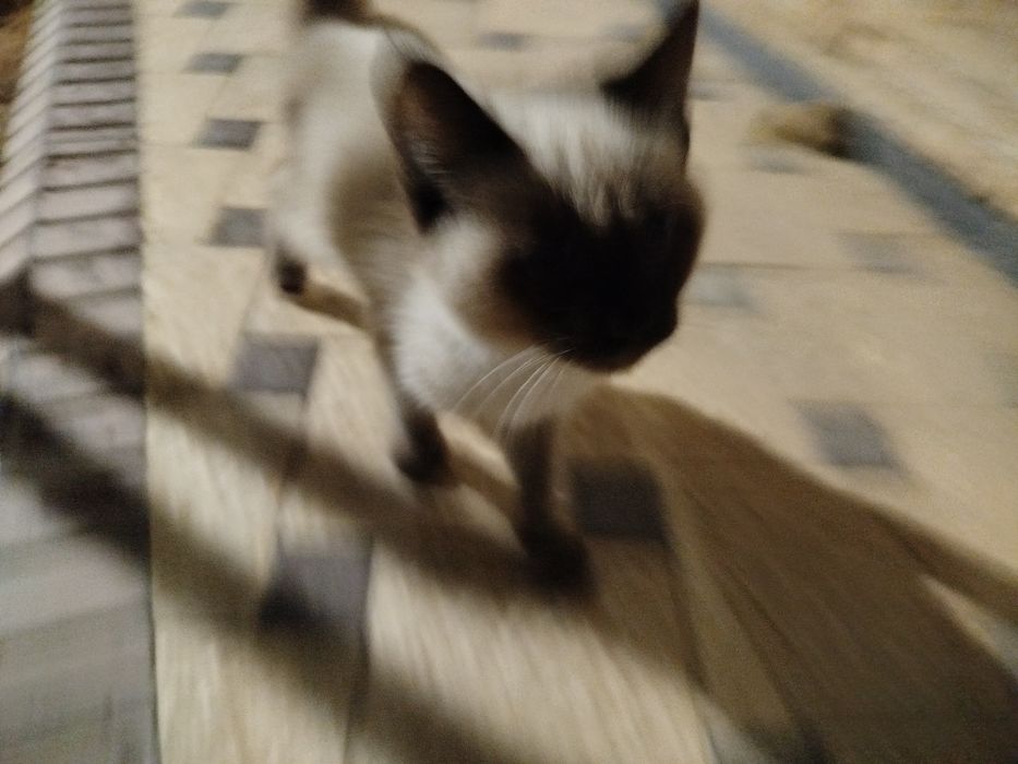 Efirga kirmagan narsa Meksikadagi tatil edi.