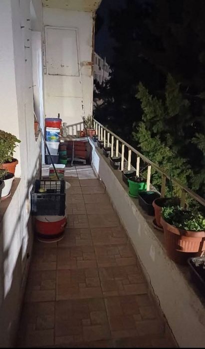 Двустаен апартамент козлодуй