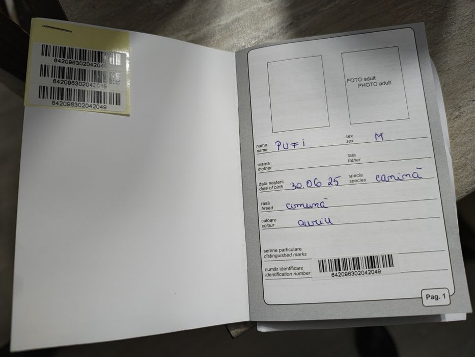 Donez 2 căței frumoși