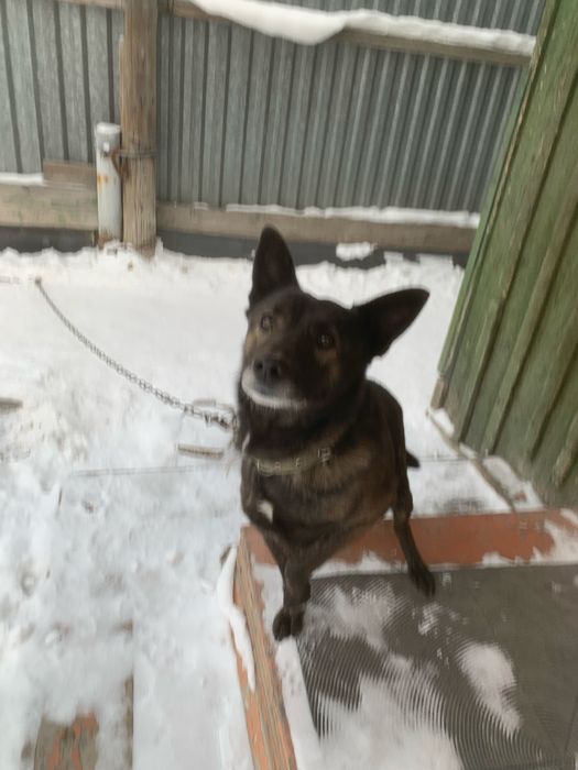 Мальчишка ищет дом