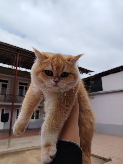 Porno keksa odamlar haqida eng yomon filmlar