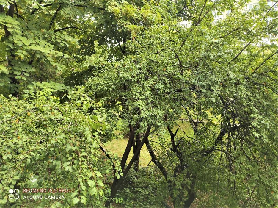 Продава се Двустаен апартамент в София, Сухата река - 66 кв.м за 2387 €/кв.м - Снимка #15