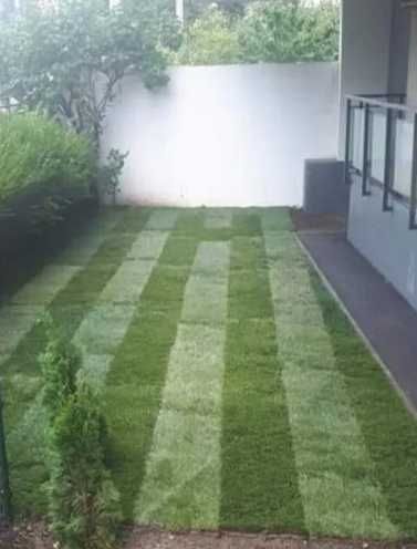 Grădina Ta Merită un Gazon Rulou Premium