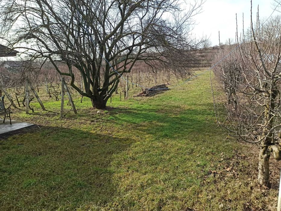 Teren intravilan 3700mp | Zonă superbă | Galmeia (Puiulescu)