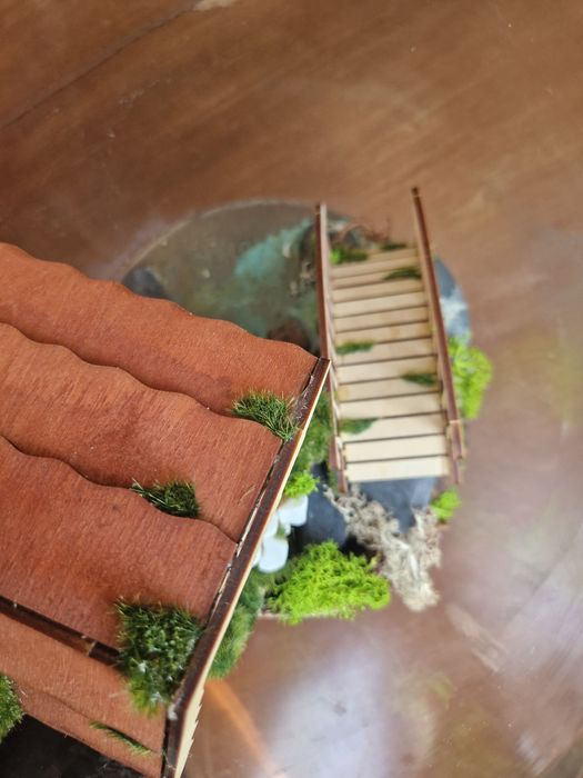 Терариум с истински мъх и къщичка
