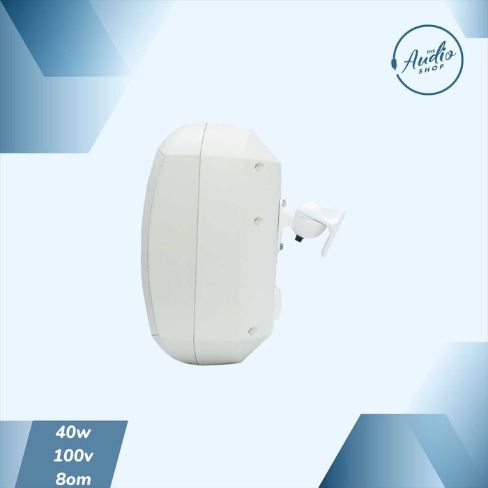 Пассивная настенная колонка для фоновой музыки 60w