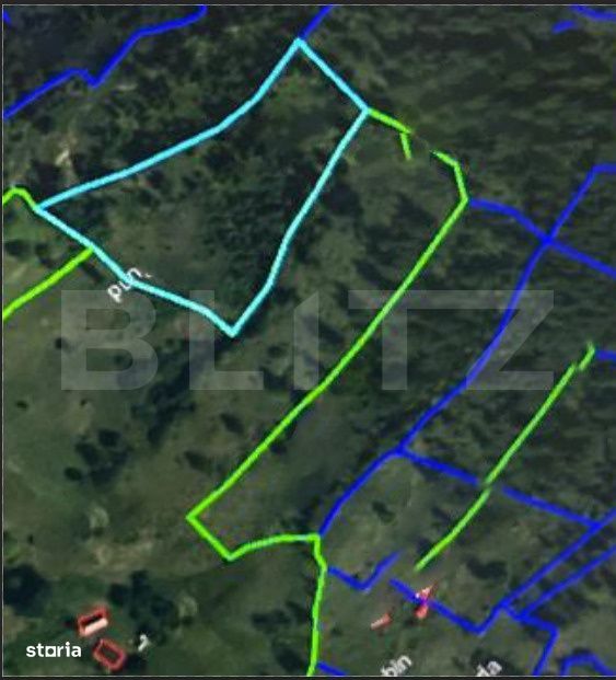Padure 1,42 hectare in Poiana Ilvei