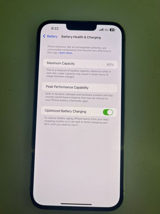 iPhone 13 Pro Max СПУКАН ГРЪБ