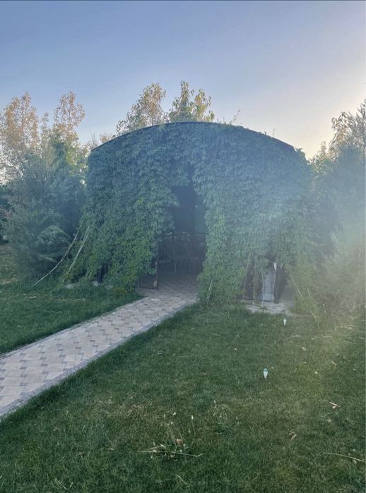 Сдаётся семейная дача в Самарканде