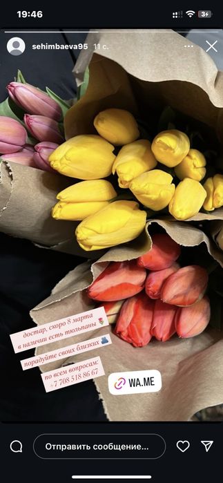 Тюльпаны ! 8 марта !